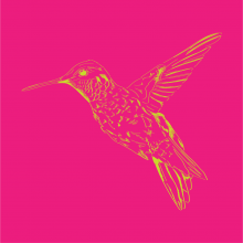 Graphic drawing of a Hummingbird (bird)