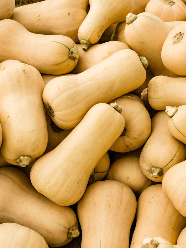 Close up of butternut squash