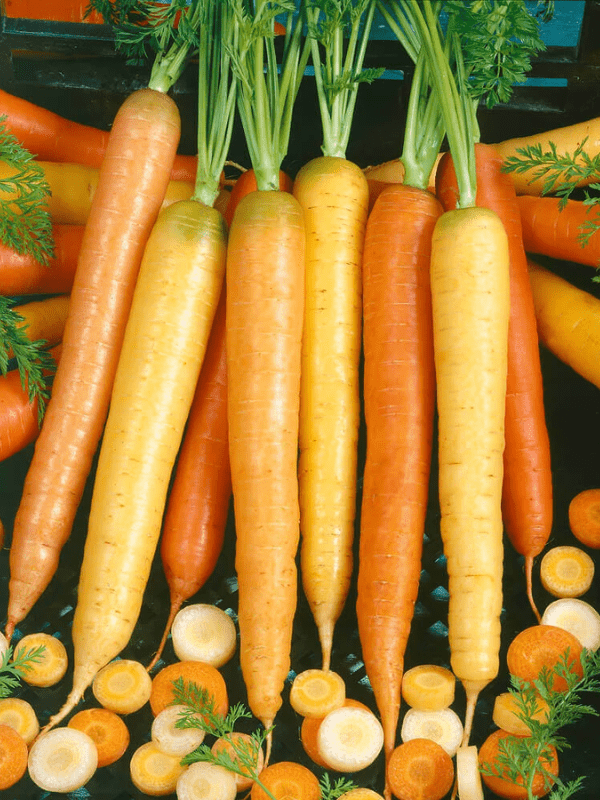 Rainbow blend carrots