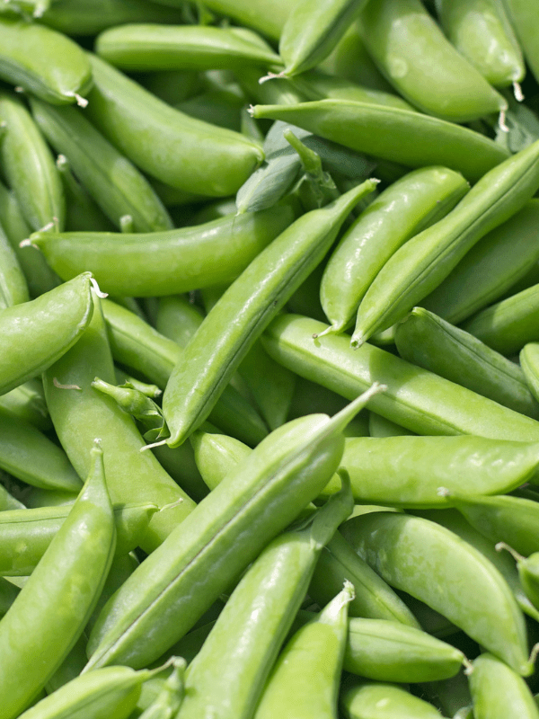close up of sugar snap peas