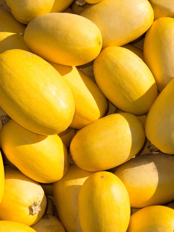 Close up of spaghetti squash