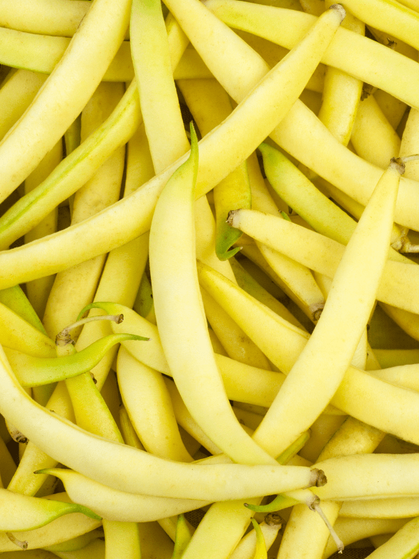 Close up of yellow beans