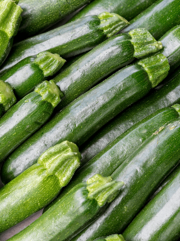 Close up of dark green zucchini.