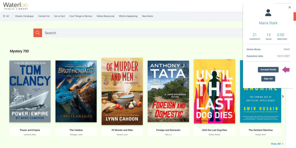 Screenshot of the homepage of the catalogue with the Account Portal button showing